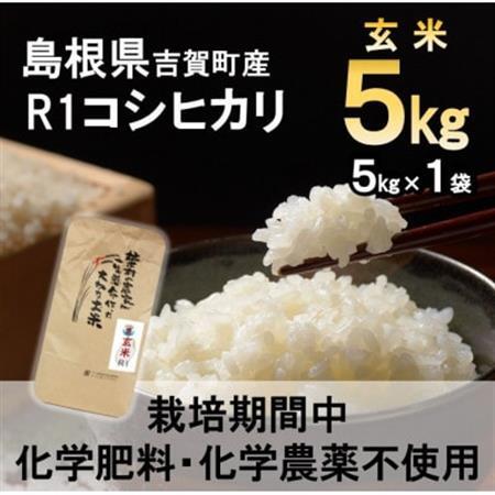 【栽培期間中化学肥料・化学農薬不使用】令和7年産R1米コシヒカリ5kg(玄米)【1448680】