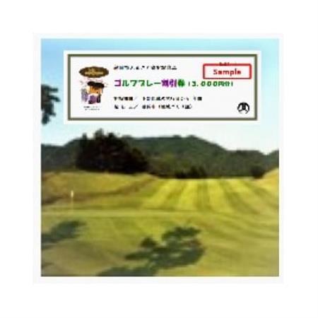 市内ゴルフプレー割引券 1枚_旅行券・チケット ゴルフプレー券 体験チケット _【1391512】