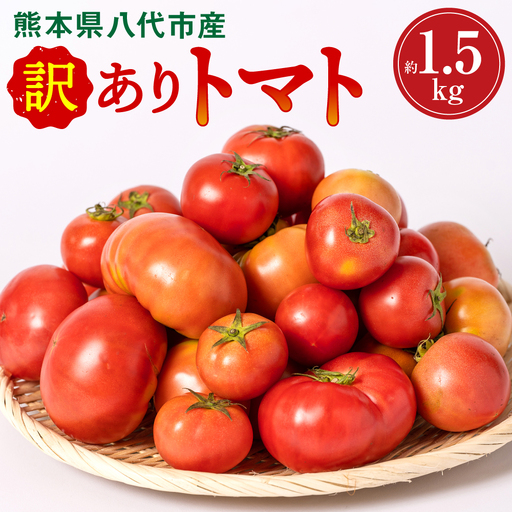 トマト 【先行予約】 訳ありトマト 約1.5kg 【2027年4月中旬より順次発送】 トマト