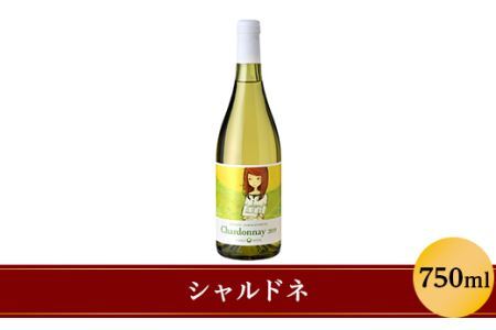 シャルドネ 750ml 樽発酵 大池ワイン 1240