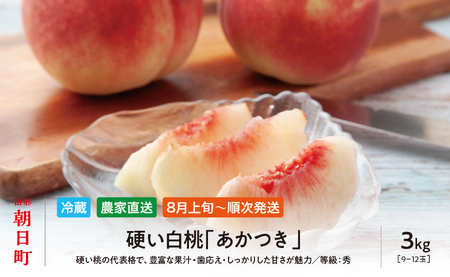[先行予約]白桃 あかつき 3kg 9〜12個 秀品 [2026年8月中旬発送]山形県 朝日町産 農家直送 山形産 もも モモ 桃 ピーチ 果物 フルーツ 夏