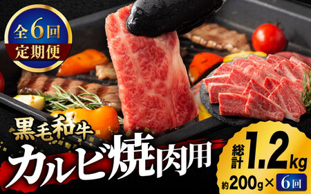 【6回定期便】藤彩牛 くまもと黒毛和牛 バラ カルビ 焼肉用 1650 [ZDT058]