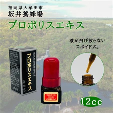 プロポリスエキス　12cc_惣菜・加工品   _【1483808】