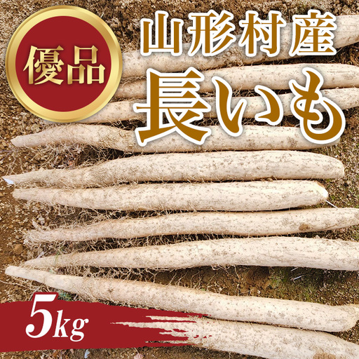 3202 信州山形村産 長いも 優 5kg