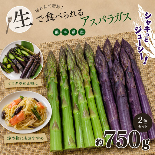 生で食べれる !! アスパラガス 2色 セット（ グリーン ・ パープル  ）約 750g | 新鮮 アスパラ 野菜 アスパラガス ソムリエ 健康 熊本県産 熊本 玉名