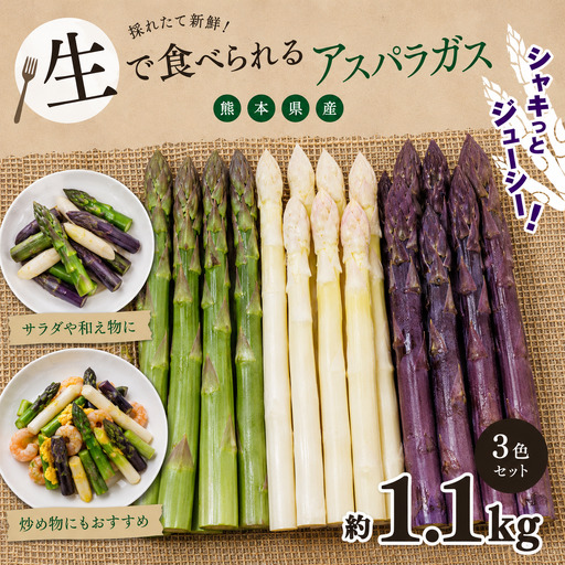 生で食べれる !! アスパラガス 3色 セット（ グリーン ・ホワイト ・ パープル  ）約 1.1kg | 新鮮 アスパラ 野菜 ソムリエ 健康 熊本県産 熊本 玉名