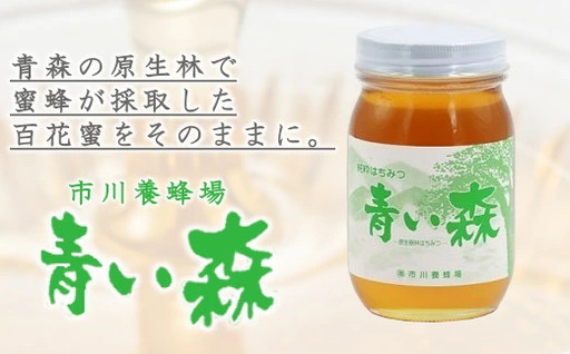 青い森の蜂蜜(600g×1本) [02408-0011]