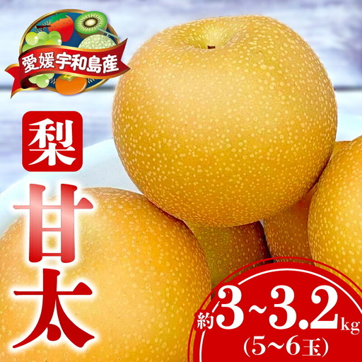 梨 甘太 3 ～ 3.2kg（5～6玉） 大森城山麓園 先行予約 なし 和梨 ナシ 新品種 果汁 甘い 人気 果物 フルーツ 産地直送 農家直送 数量限定 国産 愛媛 宇和島 F010-181001