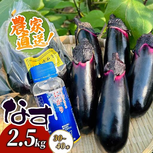 農家直送 土佐の美味茄子の新鮮ナス 2.5kg (室戸海洋深層水にがり使用) 野菜 なす ナス 常温 小袋 国産 夏野菜 茄子 小分け 旬 8500円 高知