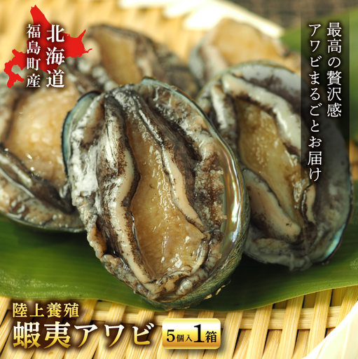 北海道福島町 陸上養殖「蝦夷アワビ」5個入 FKP001