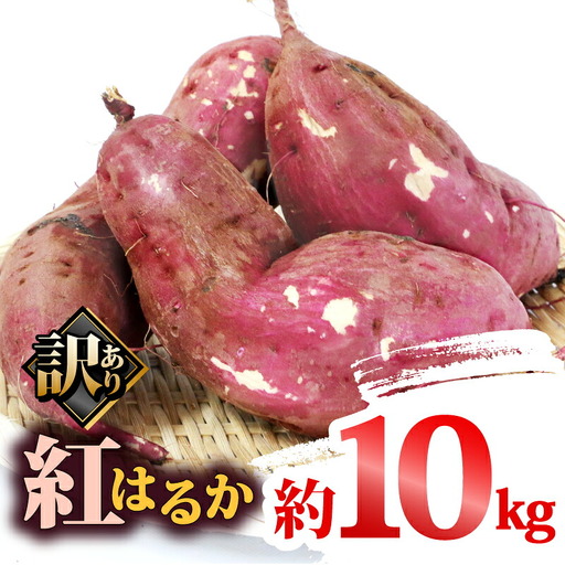 訳あり さつまいも 紅はるか 10kg 大森城山麓園 先行予約 愛媛県産 訳アリ 訳あり品 訳有り わけあり さつま芋 サツマイモ 野菜 やさい 栽培期間中 農薬 不使用 根菜 イモ 芋 産地直送 農家直送 数量限定 国産 愛媛 宇和島 F010-181002