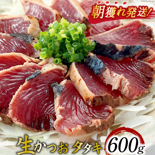 朝獲れ 産地直送 冷蔵便 生かつおタタキ 600g タレ付 真空パック