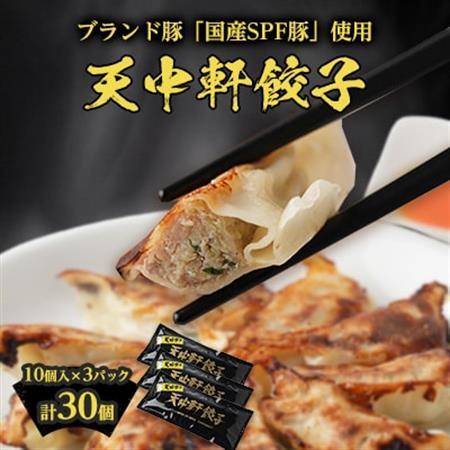 天中軒の冷凍餃子 3パック_惣菜・加工品 餃子 ぎょうざ ギョウザ_[配送不可地域:離島]