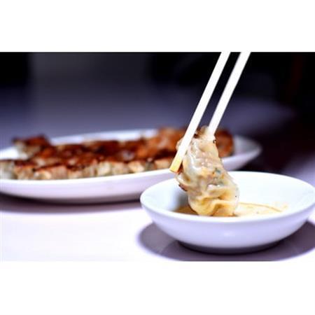 天中軒の冷凍餃子　5パック_惣菜・加工品 餃子  ぎょうざ ギョウザ_【配送不可地域：離島】【1417826】