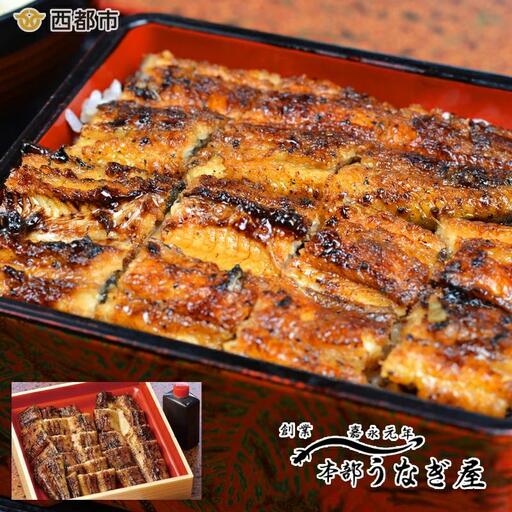 老舗「本部うなぎ屋」国産鰻の蒲焼き カット済み 無頭[12-1a]