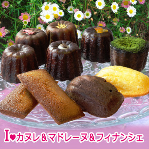 みなみ舎の焼き菓子セット[お菓子 菓子洋菓子 焼き菓子 スイーツ おやつ カヌレ かぬれ マドレーヌ フィナンシェ 人気 食品 福岡県 筑前町 CF003]