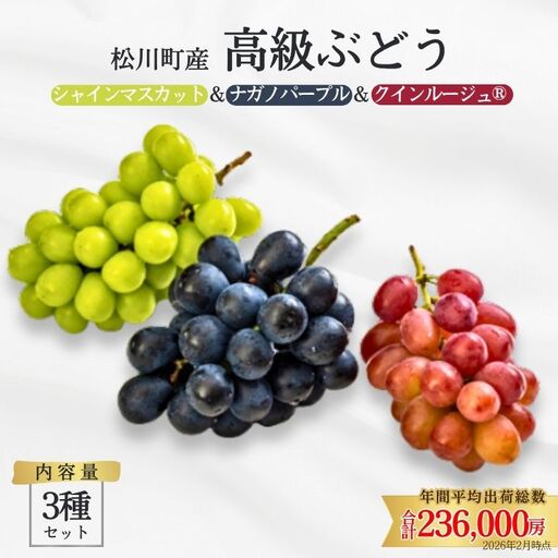 ぶどう3種セット プレミアムスリー(クイーンルージュ🄬/シャインマスカット/ナガノパープル)約1.5kg/2026年9月中旬頃〜9月下旬配送予定 // 3種セット 長野県 南信州 種なし 皮ごと 食べ比べ 詰め合わせ 贈答 ギフト 新鮮 希少