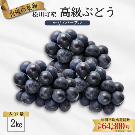 TK07　ぶどう ナガノパープル 約2kg ／2026年9月上旬頃～9月中旬配送予定 // 長野県 南信州 松川町産 種なし 皮ごと 南信州 長野県 オリジナル品種 稀少 高糖度 高品質 人気 贈答 ギフト