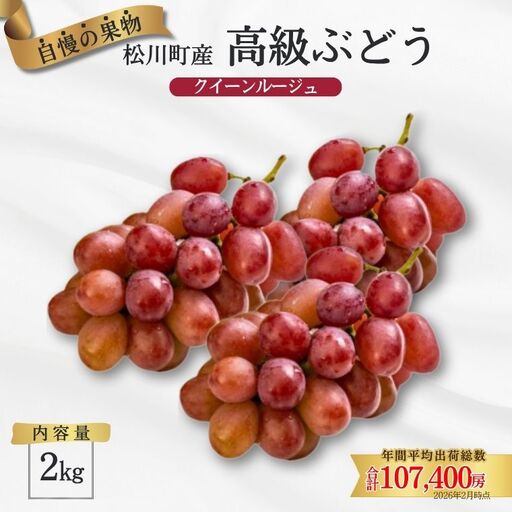 TK08 ぶどう クイーンルージュ®  約2kg／2026年9月下旬から10月中 配送予定 // 稀少 新品種 長野県 南信州 高糖度 葡萄 クインルージュ 甘い 種なし 皮ごと