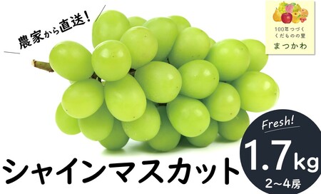 KG01 ぶどう 農家直送 シャインマスカット 贈答 約1.7kg 種なし／ 2026年9月下旬～発送 // 長野県 南信州 松川町 葡萄 ぶどう ブドウ 産地直送 農家直送 シャインマスカット マスカット 種なし 皮ごと 贈答 果物 フルーツ