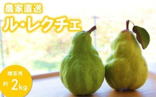 洋梨 ル・レクチェ(大玉)約2kg 贈答/2026年11月下旬頃から配送//長野県 松川町 梨 洋梨 洋ナシ ルレクチェ 産地直送 農家直送 農家支援 果物 フルーツ 贈答 ギフト
