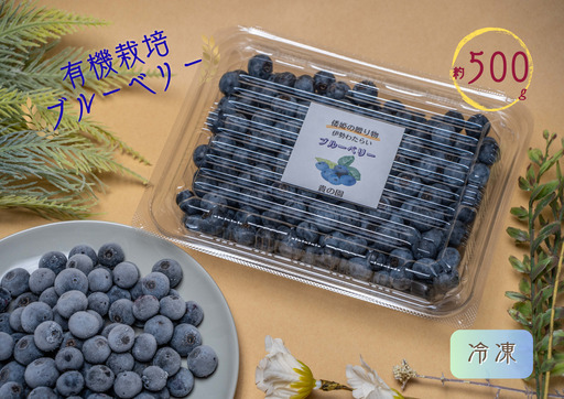 (冷凍) 三重県度会町産の有機栽培 自然の恵みを受け甘く育った ブルーベリー 500g / 貴の園 フルーツ 果物 国産 三重県 度会町