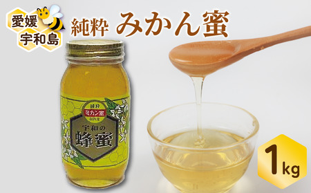 国産はちみつ みかん蜜 1kg ギフト箱入 元気や みかん 愛媛みかん 愛媛蜜柑 人気ハチミツ 国産純粋はちみつ 蜂蜜 ハチミツ ハニー honey 非加熱 蜂蜜 純粋 生 天然 産地直送 愛媛 宇和島