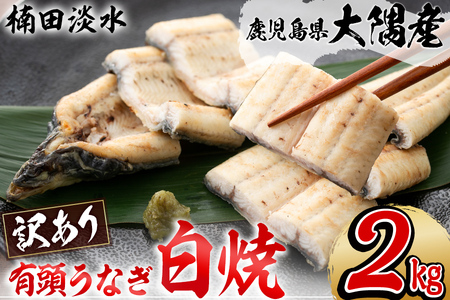 【訳あり】鹿児島県大隅産！楠田の極うなぎ白焼き 有頭2kg（約10尾～14尾） うなぎ 鰻 ウナギ 国産 鹿児島県産 九州産 白焼き 冷凍 うな重 ひつまぶし g2-002