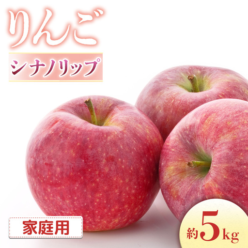 【2026年発送先行予約】りんご シナノリップ 約5kg（16～20玉入り）※ご家庭用※ ※2026年8月中旬～