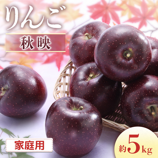 【2026年発送先行予約】りんご 秋映 約5kg（10～20玉入り）※家庭用※ ※2026年9月下旬～10月上旬発送予定※