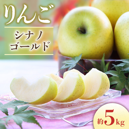 [2026年発送先行予約]りんご シナノゴールド 約5kg(10〜20玉入り)※2026年10月中旬〜11月上旬発送予定※