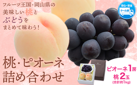 桃・ピオーネ詰め合わせ 約1kg 白桃 ぶどう