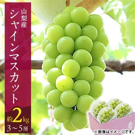 【2026年発送】山梨市 シャインマスカット(約2kg)3～5房入り 化粧箱入り【配送不可地域：離島・沖縄県】【1484816】