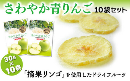 MZ02【ドライりんご】さわやか青りんご 30g×10袋 // 長野県 南信州 ドライフルーツ フードロス 食品ロス 自然のおやつ りんごのお菓子 お土産 青りんご