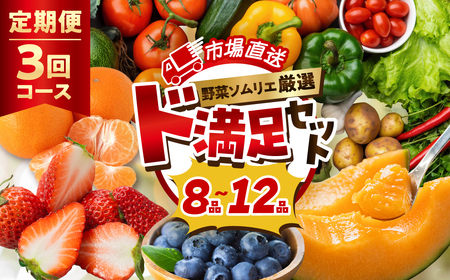 【定期便】 旬の野菜 フルーツ 詰め合わせ - 12品 野菜ソムリエ 厳選 野菜セット | メロン いちご トマト アスパラガス トウモロコシ 玉ねぎ 国産 人気 ランキング やさい 野菜 果物 フルーツ 定期便
