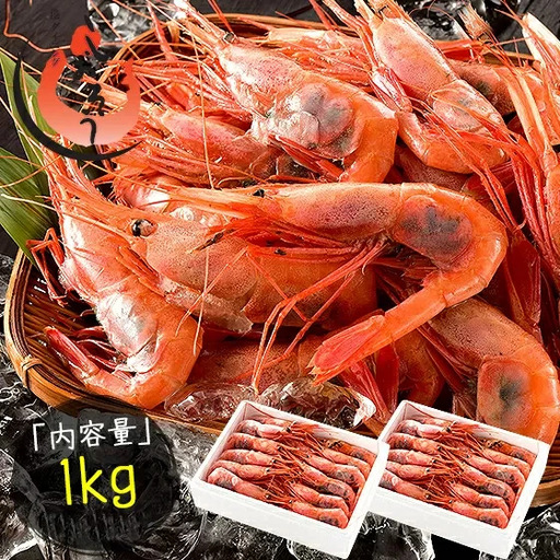 甘えび・子持ちE大サイズ約1kg(約60尾)　[053-a027_A(20)]