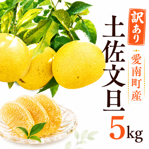 [先行予約]訳あり 土佐文旦 約5kg 文旦 エニシトラス