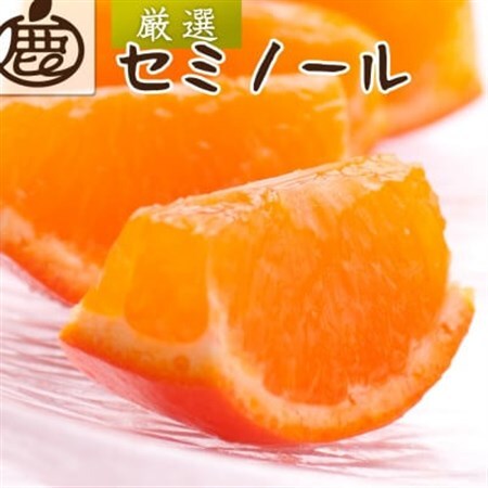 厳選 セミノールオレンジ2.5kg+250g(傷み補償分)[春みかん][有田産][光センサー選果]