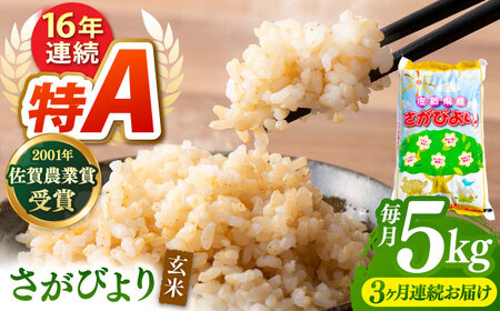 【全3回定期便】さがびより 玄米 5kg【ももさき農産】 [HCG011]玄米 米