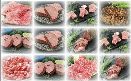 肉の定期便　厳選佐賀牛を毎月12回お届け 999-J902