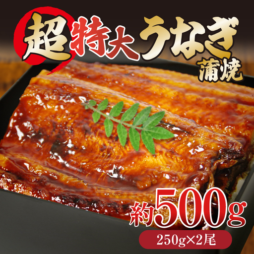 うなぎ 蒲焼 特大 2尾 約500g うなぎ