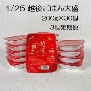 【たんぱく質調整食品】【3ヶ月定期便】 1/25 越後ごはん大盛 200g×30個×3回 バイオテックジャパン 越後シリーズ 1V56082