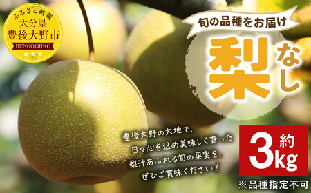 037-1055x2[先行予約] 大分県 豊後大野市産 梨 約3kg [2026年8月下旬〜12月上旬発送予定]