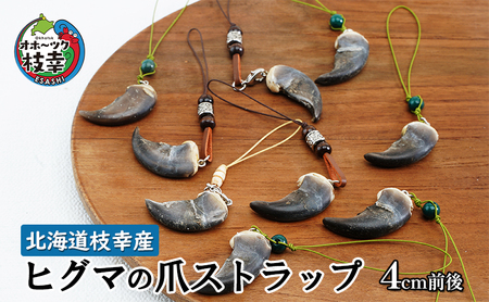 北海道枝幸産 ヒグマの爪ストラップ 4cm前後 【 くま 熊 ヒグマ 羆 アクセ スマホ ファッション小物 アクセサリー 民芸品 工芸品 伝統技術 北海道 オホーツク 枝幸 】