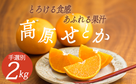 【先行受付・数量限定】柑橘の高級種ブランド 高原町産の柑橘「せとか」ご家庭用 約2kg（大小混合7～9玉） TF0746-P00068