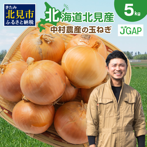 [予約:2026年10月から順次発送]北海道北見産 玉ねぎ 5kg ( 玉ねぎ 野菜 たまねぎ タマネギ 玉葱 甘い ハンバーグ 肉じゃが ふるさと納税 玉ねぎ )[002-0008-2026]