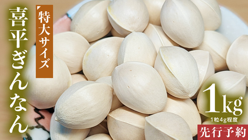 【先行予約】 喜平 ぎんなん 1kg (1粒4.0g程度・特大サイズ) 【2026年10月中旬より発送開始】  