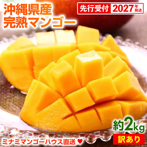 【先行受付】【2027年発送】ミナミマンゴーハウスの完熟アップルマンゴー 訳あり 約2kg - 家庭用 先行予約 沖縄県産 産地直送 南国フルーツ 旬の味覚 季節の果物 ご自宅用 訳アリ 沖縄マンゴー 沖縄県 八重瀬町