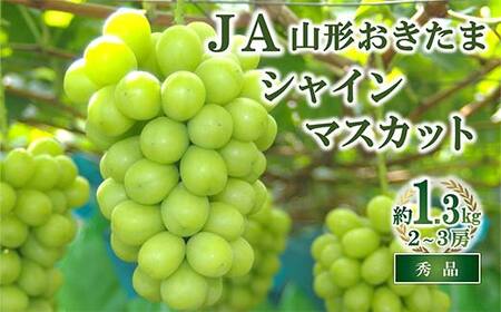 [令和8年産先行予約] JA シャインマスカット 約1.3kg (2〜3房 秀) [令和8年9月下旬〜発送] 『JA山形おきたま』 マスカット ぶどう 果物 フルーツ 山形県 南陽市 [2054]