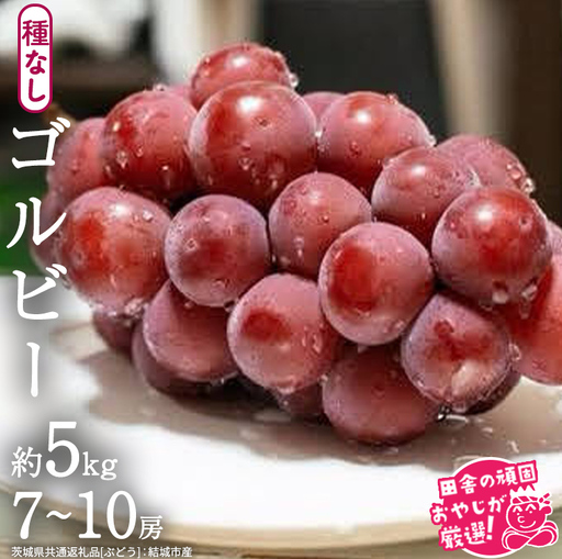 ゴルビー 約5kg (7～10房) 【2026年9月より発送開始】（茨城県共通返礼品 [ぶどう]：結城市産） フルーツ 果物